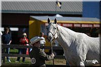 4H-3rd-Show-2004-0359.jpg