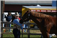 4H-3rd-Show-2004-0360.jpg