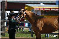 4H-3rd-Show-2004-0361.jpg