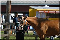 4H-3rd-Show-2004-0362.jpg