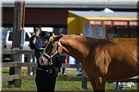 4H-3rd-Show-2004-0363.jpg