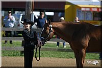 4H-3rd-Show-2004-0365.jpg