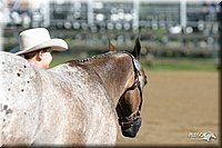 4H-3rd-Show-2004-0375.jpg