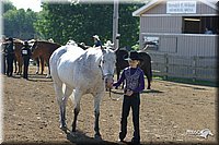 4H-3rd-Show-2004-0393.jpg