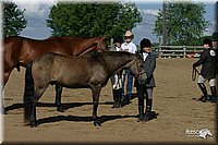 4H-3rd-Show-2004-0412.jpg