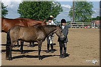 4H-3rd-Show-2004-0415.jpg