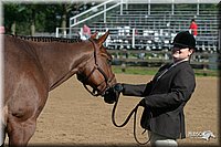 4H-3rd-Show-2004-0420.jpg