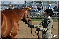 4H-3rd-Show-2004-0421.jpg