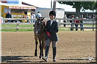 4H-3rd-Show-2004-0422.jpg
