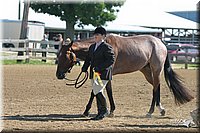 4H-3rd-Show-2004-0423.jpg