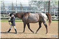 4H-3rd-Show-2004-0443.jpg