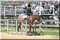 4H-3rd-Show-2004-0642.jpg