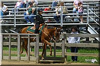 4H-3rd-Show-2004-0756.jpg