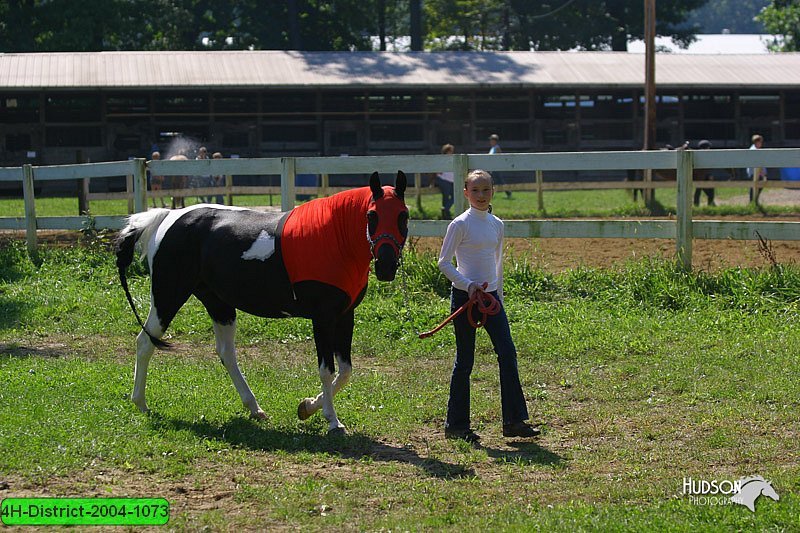 4H-District-2004-1073.jpg