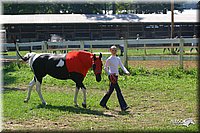 4H-District-2004-1072.jpg