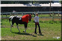 4H-District-2004-1073.jpg