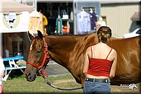 4H-District-2004-1232.jpg