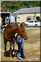 4H-District-2004-1233.jpg