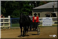 4H-District-2004-0547.jpg