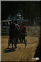 4H-District-2004-0559.jpg