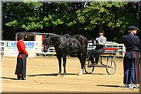 4H-District-2004-0567.jpg