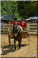 4H-District-2004-0591.jpg