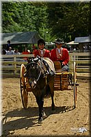 4H-District-2004-0592.jpg