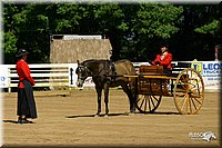 4H-District-2004-0595.jpg