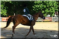 4H-District-2004-0686.jpg