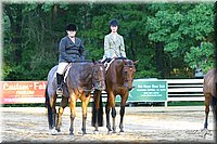 4H-District-2004-0804.jpg