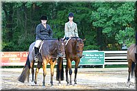 4H-District-2004-0805.jpg