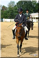 4H-District-2004-0625.jpg