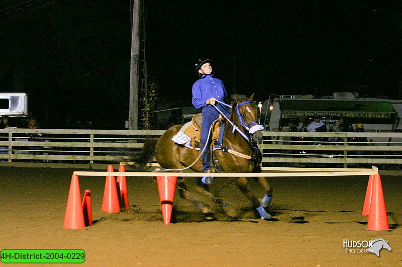 4H-District-2004-0229.jpg