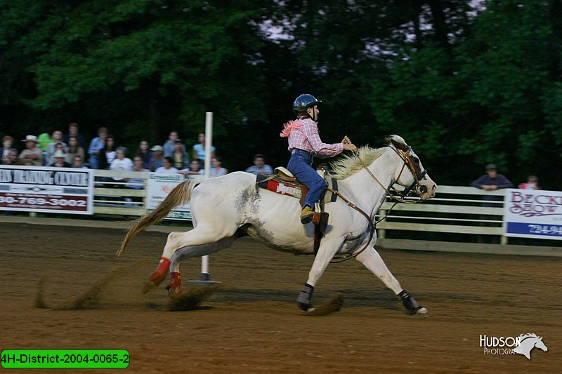4H-District-2004-0065-2.jpg