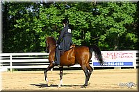 4H-District-2004-0659.jpg