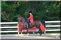 4H-District-2004-0779.jpg