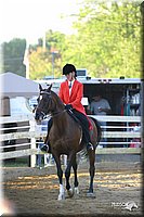 4H-District-2004-0790.jpg