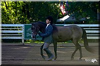 4H-District-2004-0304.jpg