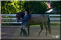 4H-District-2004-0305.jpg