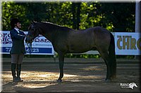 4H-District-2004-0310.jpg