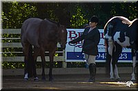 4H-District-2004-0357.jpg