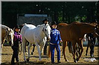4H-District-2004-0952.jpg