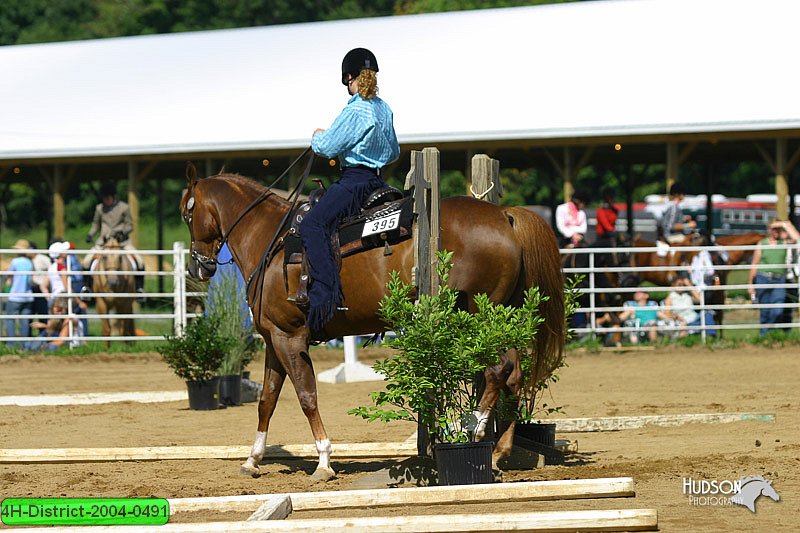 4H-District-2004-0491.jpg