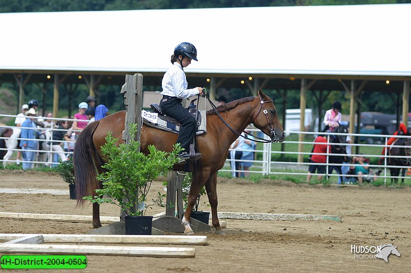 4H-District-2004-0504.jpg