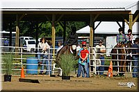 4H-District-2004-0427.jpg