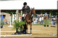 4H-District-2004-0446.jpg