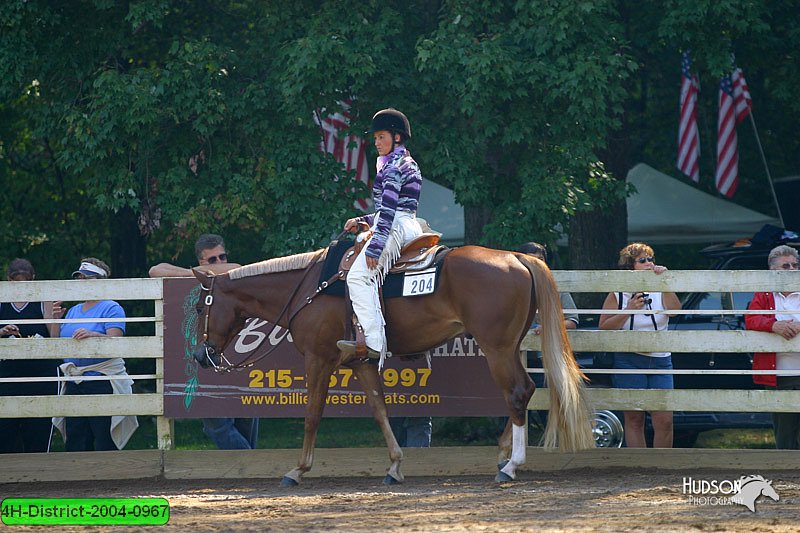 4H-District-2004-0967.jpg