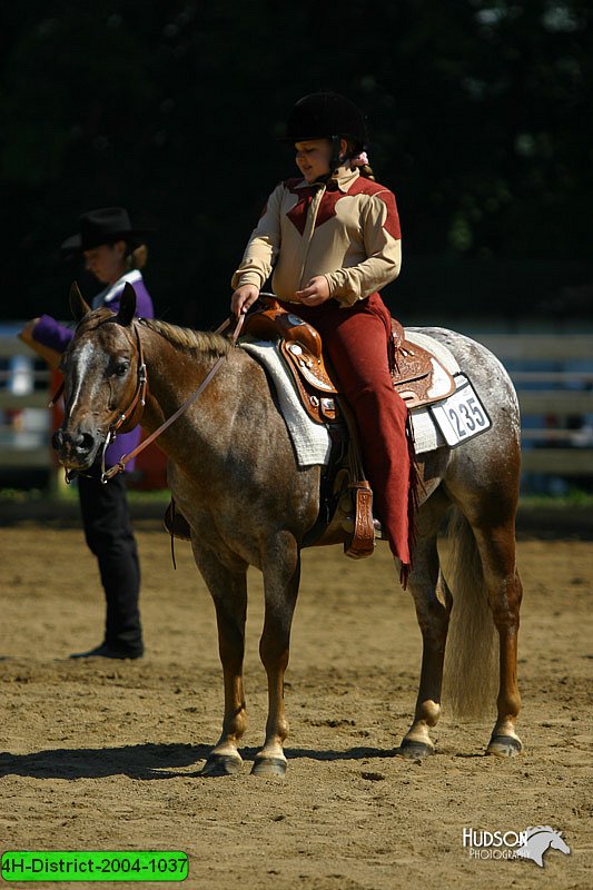 4H-District-2004-1037.jpg
