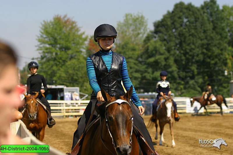 4H-District-2004-1055.jpg