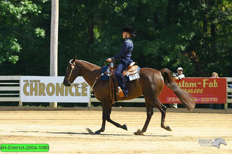4H-District-2004-1080.jpg